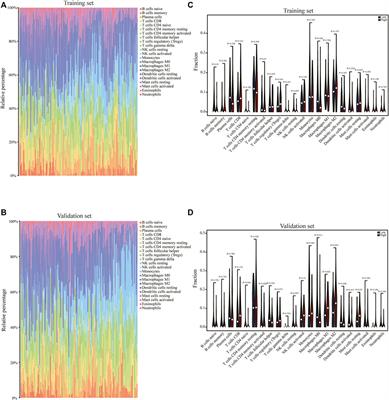 A novel pyroptosis scoring model was associated with the prognosis and immune microenvironment of esophageal squamous cell carcinoma